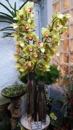 blumenladen-muenchen-maxvorstadt-odeonsplatz-pinakotheken-fuerstenstr-20171211_132006