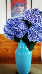 blumenladen-muenchen-maxvorstadt-odeonsplatz-pinakotheken-fuerstenstr-IMG_20180820_120512_892
