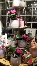 fashion-and-fantasy-dekoartikel-muenchen-zentrum-odeonsplatz-pinakotheken-20190313_224654