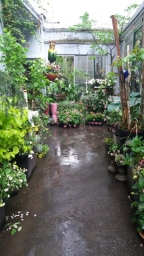 idyillischer-secondhandladen-muenchen-gartenhaus-fashion-and-fantasy-hinterhof-im-fruehling